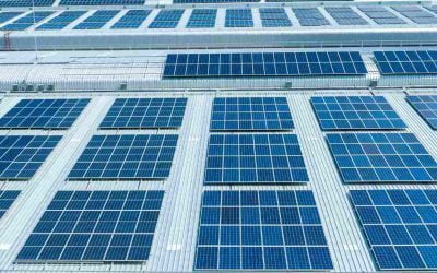 What is the Cost of Commercial Solar Panels in Ireland?