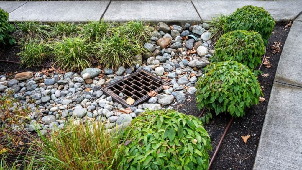 How Can Rain Gardens Be Utilised for Stormwater Management? 2 key benefits of rain gardens for stormwater management