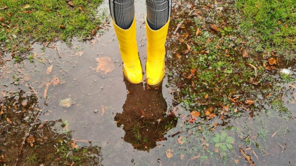 How Can Rain Gardens Be Utilised for Stormwater Management? 1 slowing down stormwater flow